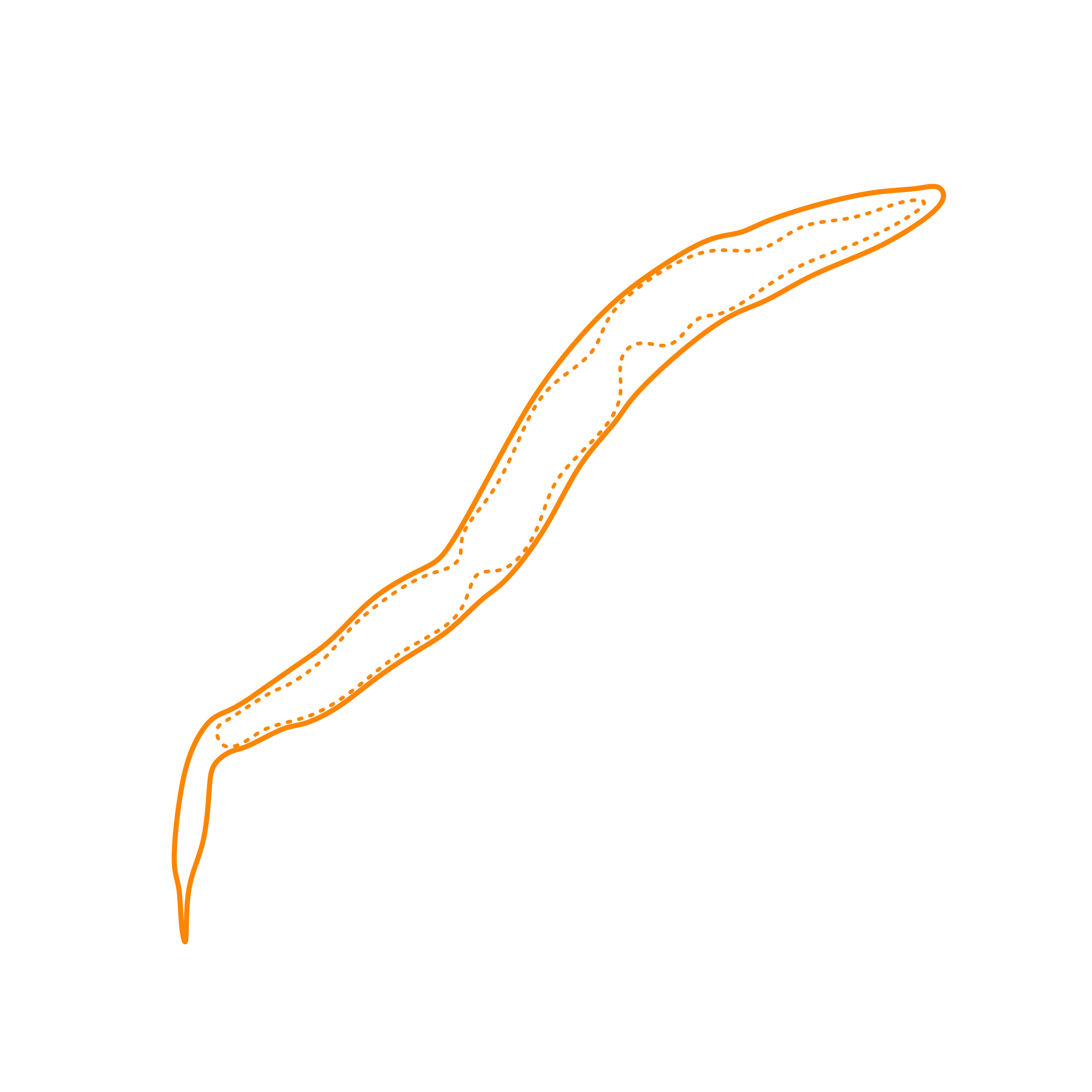 Animals Worms Pinworm Icon Svg Vector Free Vectors